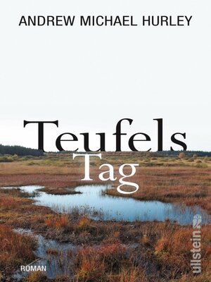 cover image of Teufels Tag